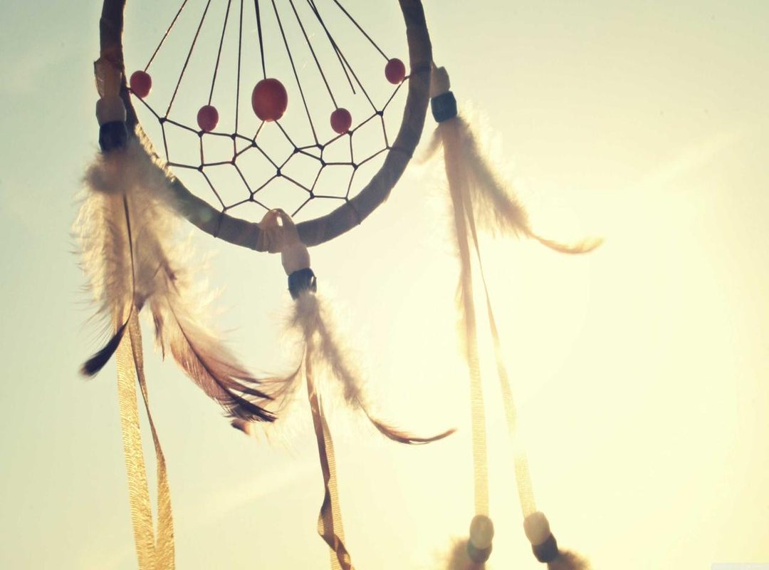 Price Check: Is Kruidvat Your Best Bet for a Bargain?