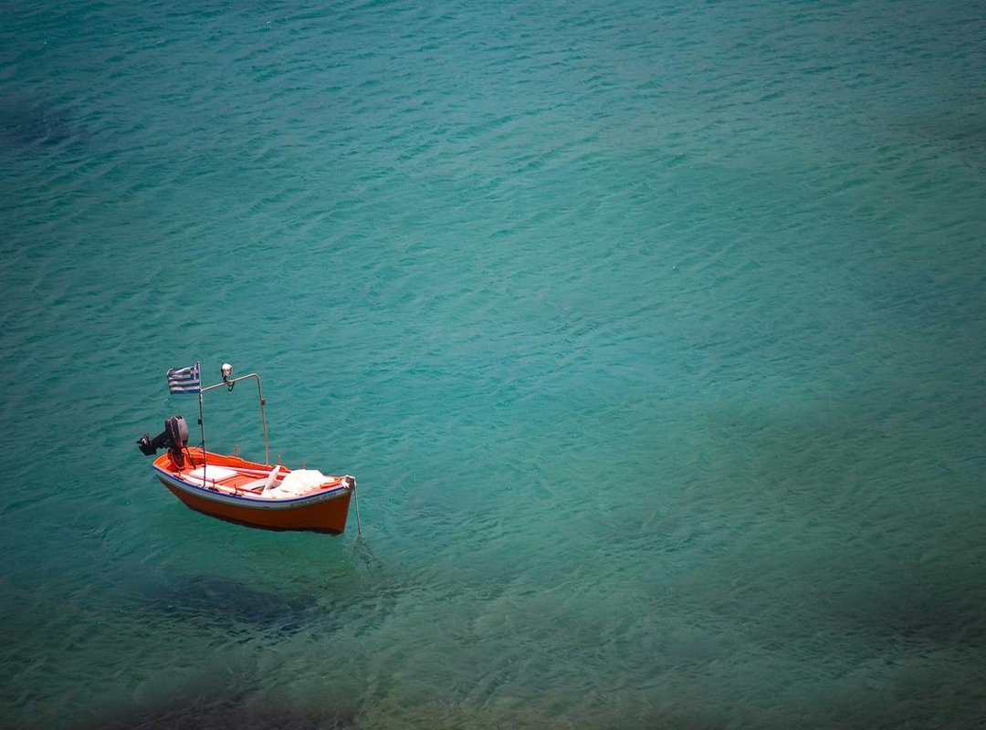 FAQs: Bridie O'Donnell and Nicholas Mitchell