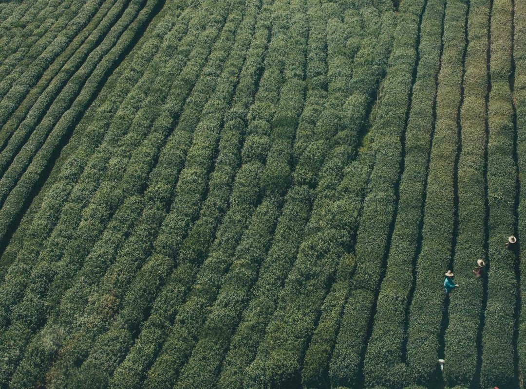 The Leak: What Happened?