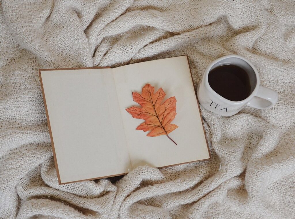 cozy reading nook