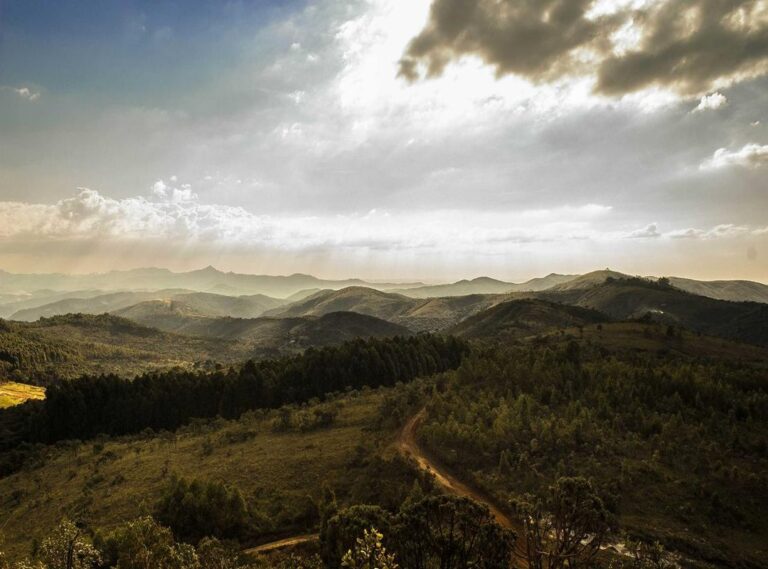 logo:k3rj7hd9lx0= whatsapp