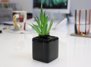 small space creativity