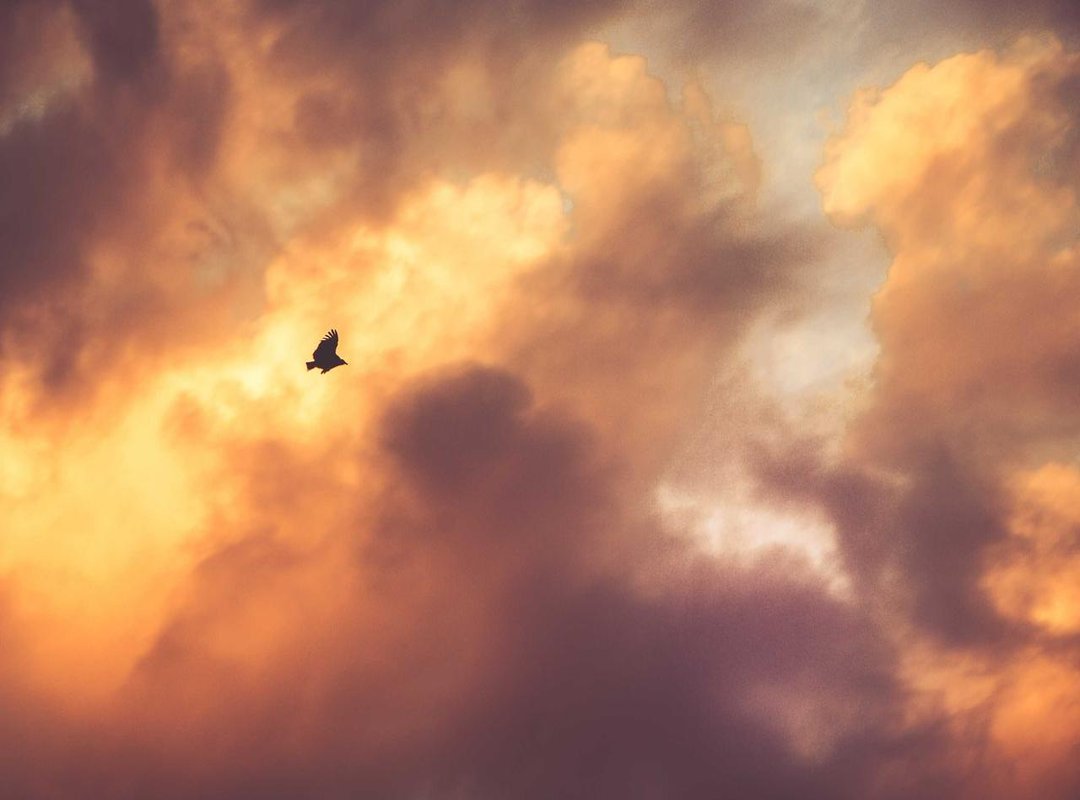 Pros and Cons: Is a Nude Palette Right for Your Design Style?