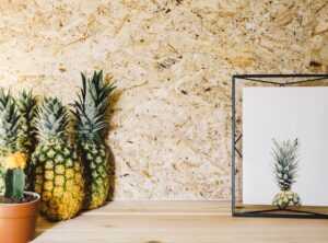 sustainable home decor