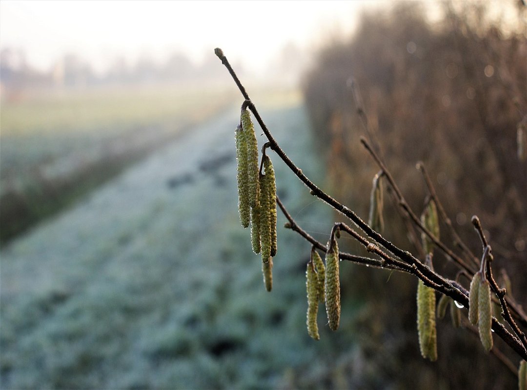 What You Can Find Inside the Synergy Portal