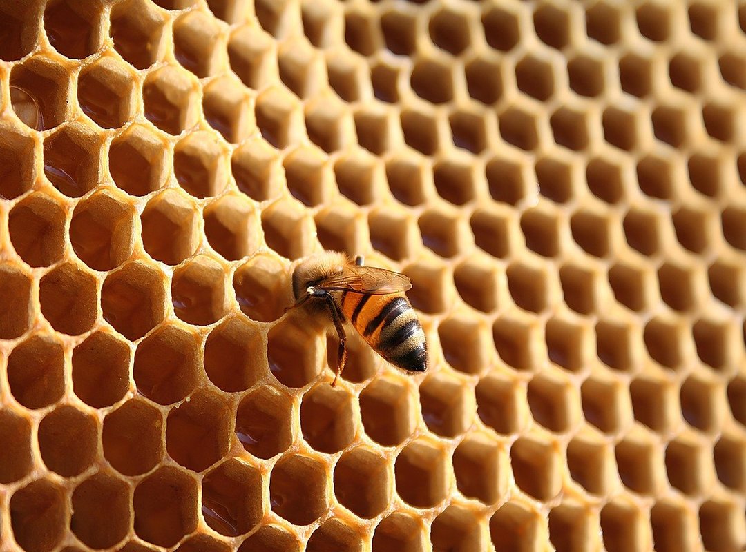 Bringing Her to Life with Color and Posing